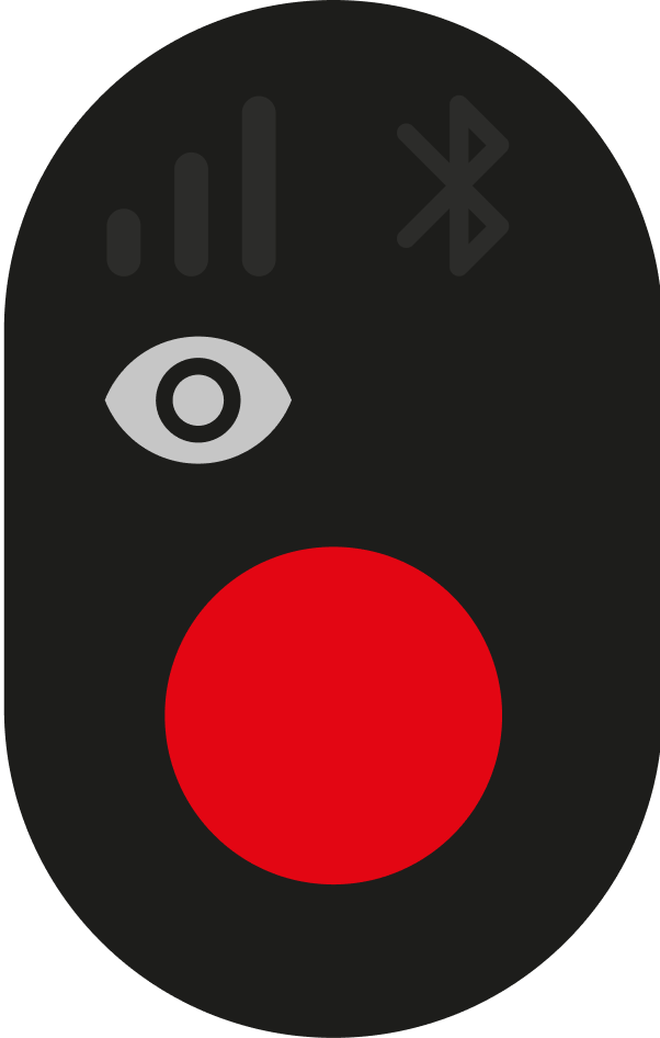 Live View.png